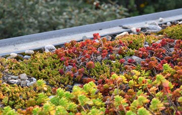 the cost of Brownheath Common green roof installation
