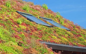 Brownheath Common living roof systems