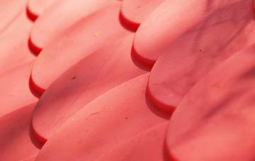 Brownheath Common plastic roof costs