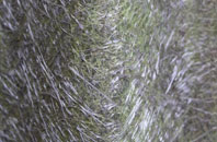 Brownheath Common fibreglass roof work