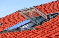 Brownheath Common roof window